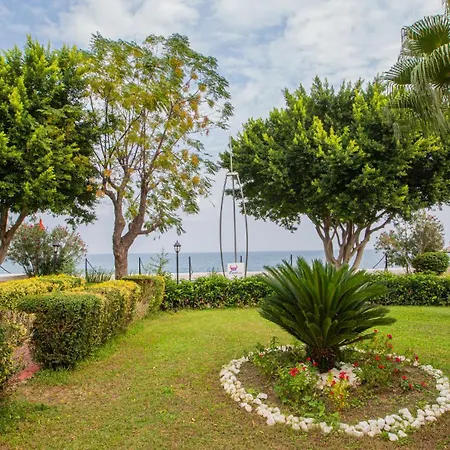 Viking Nona מלון