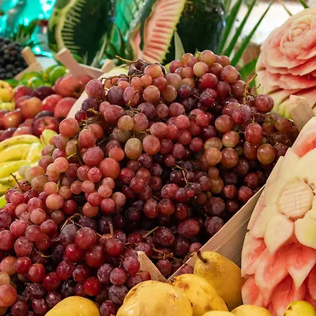 Viking Nona מלון קמר