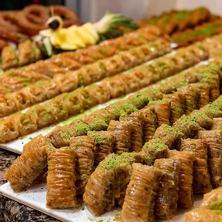 Viking Nona מלון