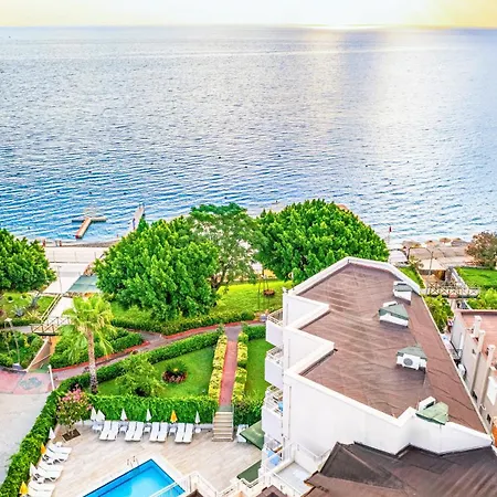 מלון Viking Nona 4*